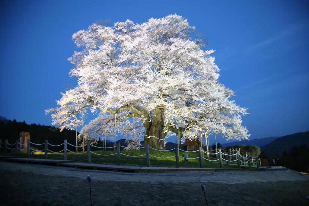 Hotel Kikunoyu Maniwa Exterior photo